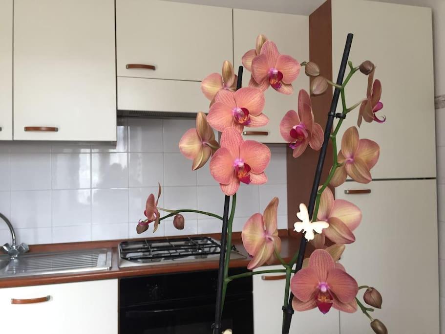 Narni.Umbria Apartman Narni Scalo Kültér fotó